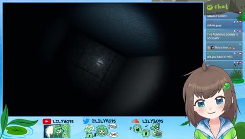 the stream is coming from inside the house