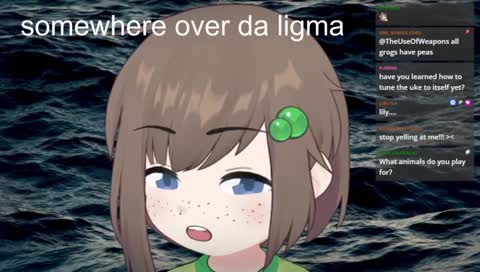 Lily's animal audience