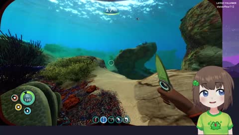 The most wholesome encouragement ever