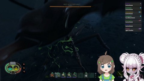 league of legends advice from lily