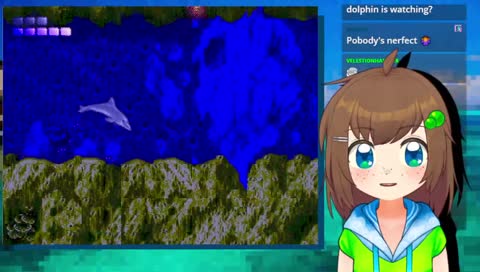 playing with dolphins💚 TROPICAL ISLAND SUMMER WEEK