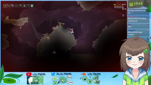 little witch macadamia