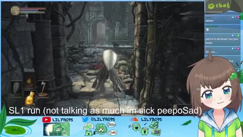 SL1 continued (level one character) zzzzz <(＿ ＿)>