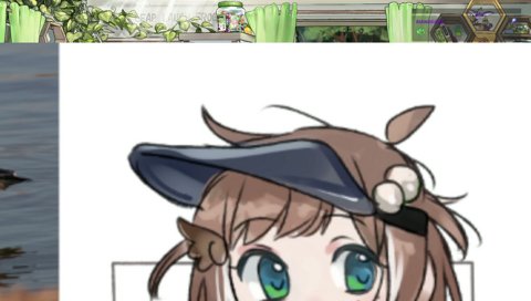 raise wings to appear bigger!