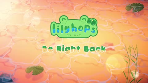 the big big chicory stream