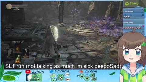 SL1 continued (level one character) zzzzz <(＿ ＿)>