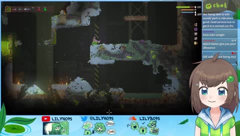 little witch macadamia