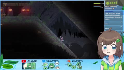 little witch macadamia