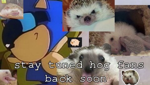 LOOK WHAT SHE DID TO ME