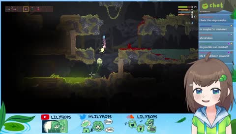 little witch macadamia