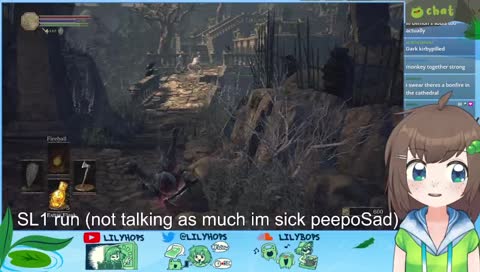 SL1 continued (level one character) zzzzz <(＿ ＿)>