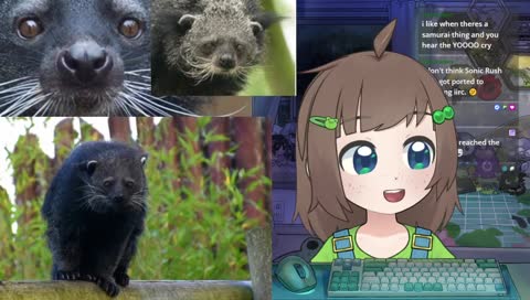 a mini stream | just hanging around | maxing and relaxing