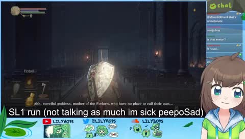 SL1 continued (level one character) zzzzz <(＿ ＿)>