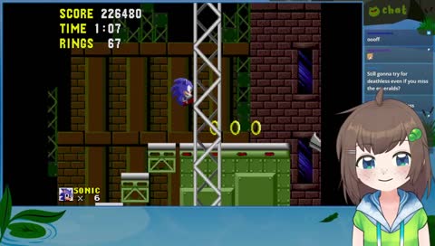 hogless attempt practice only (not real)