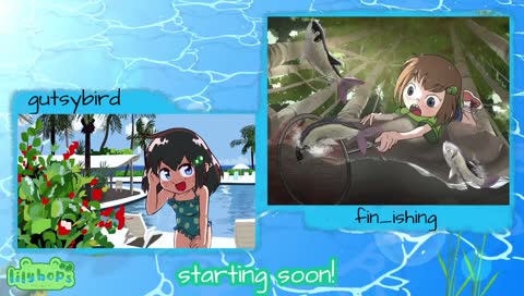 the big big chicory stream