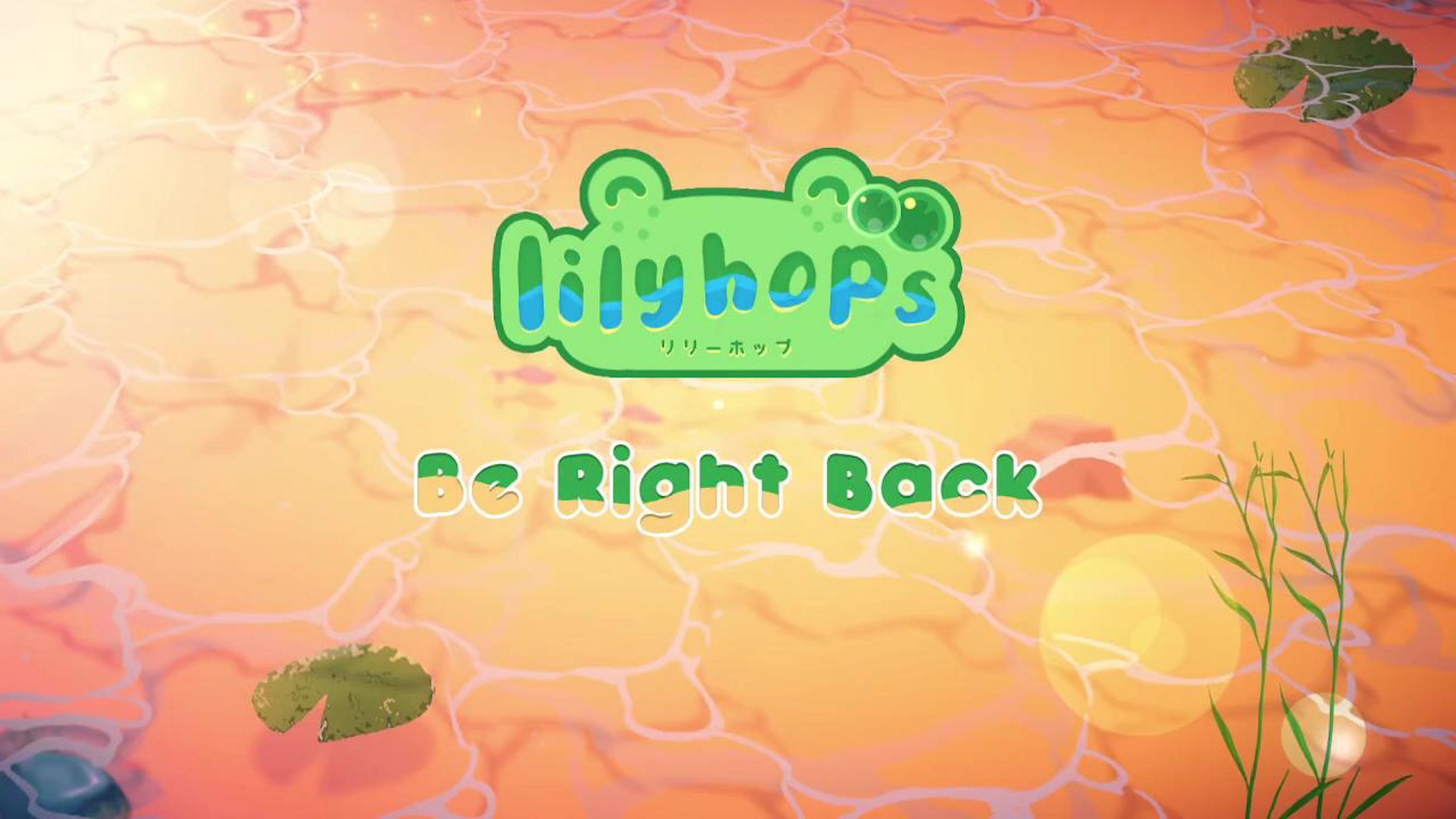 the big big chicory stream