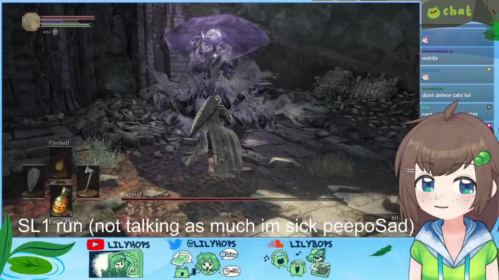 SL1 continued (level one character) zzzzz <(＿ ＿)>