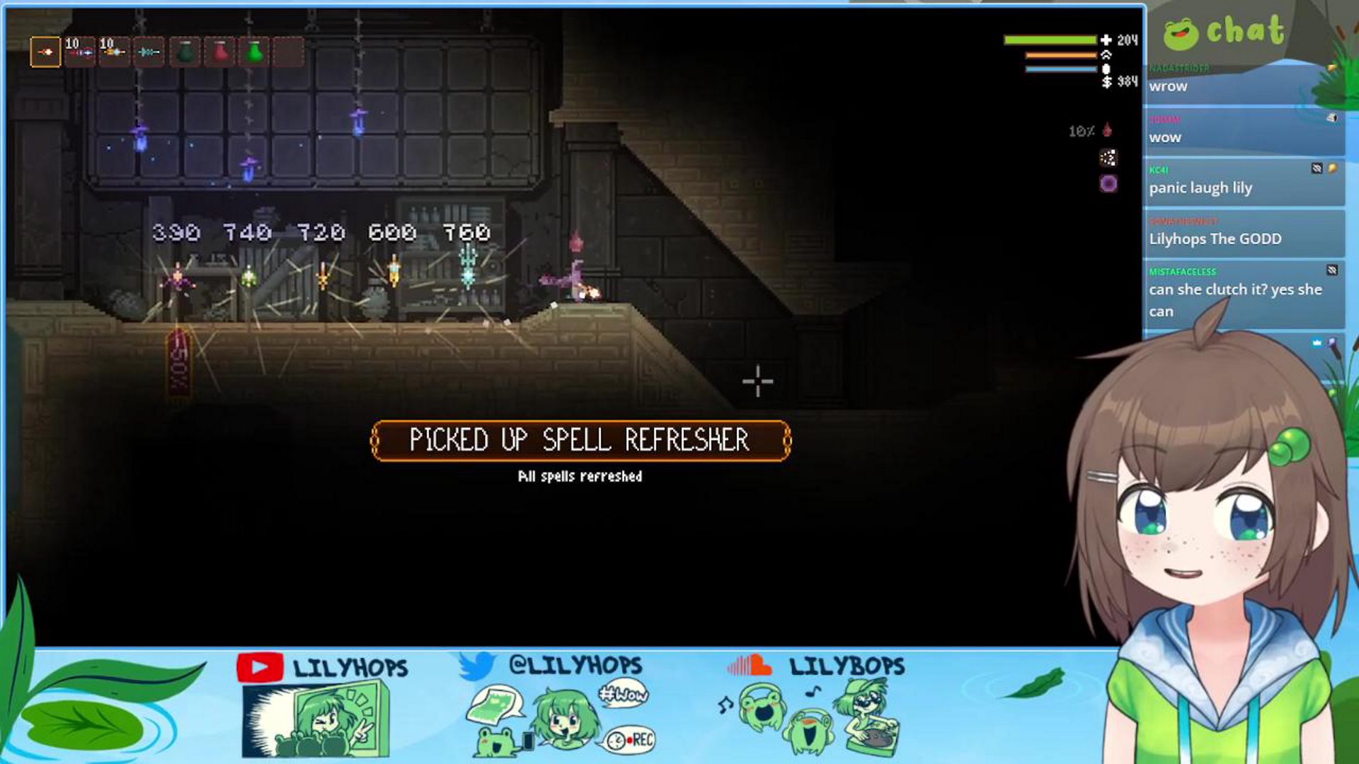 little witch macadamia