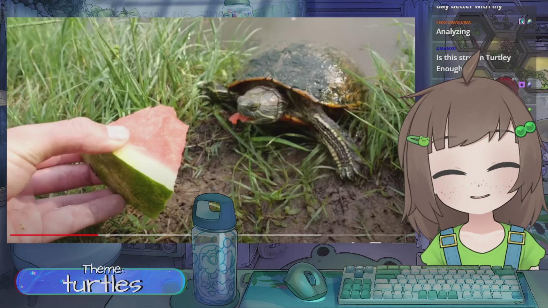 🐀 "my special turtle stream" 🐢🐢🐢🐢
