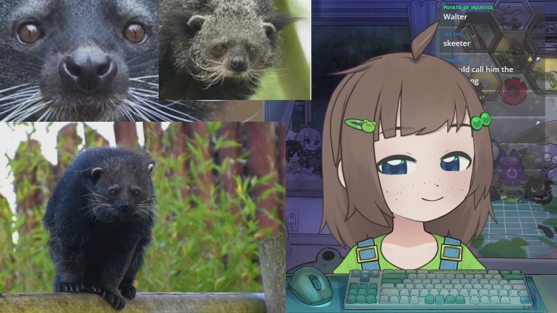 a mini stream | just hanging around | maxing and relaxing