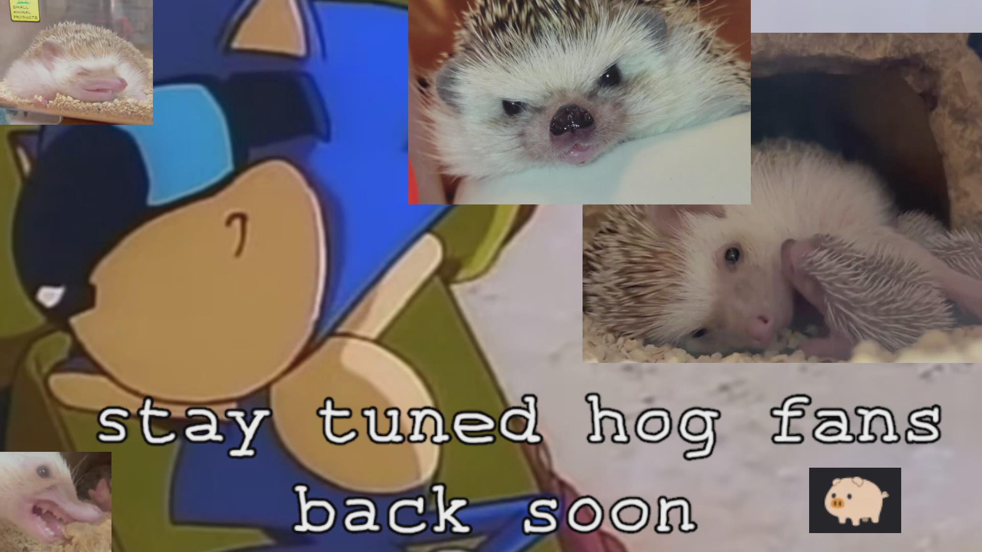 you are berry special 🍓 | reaching rank 1 Killer Dead by Daylight | learning RIICHI MAHJONG | MASSIVE 12 hour stream.. of hell | 💯💯💯